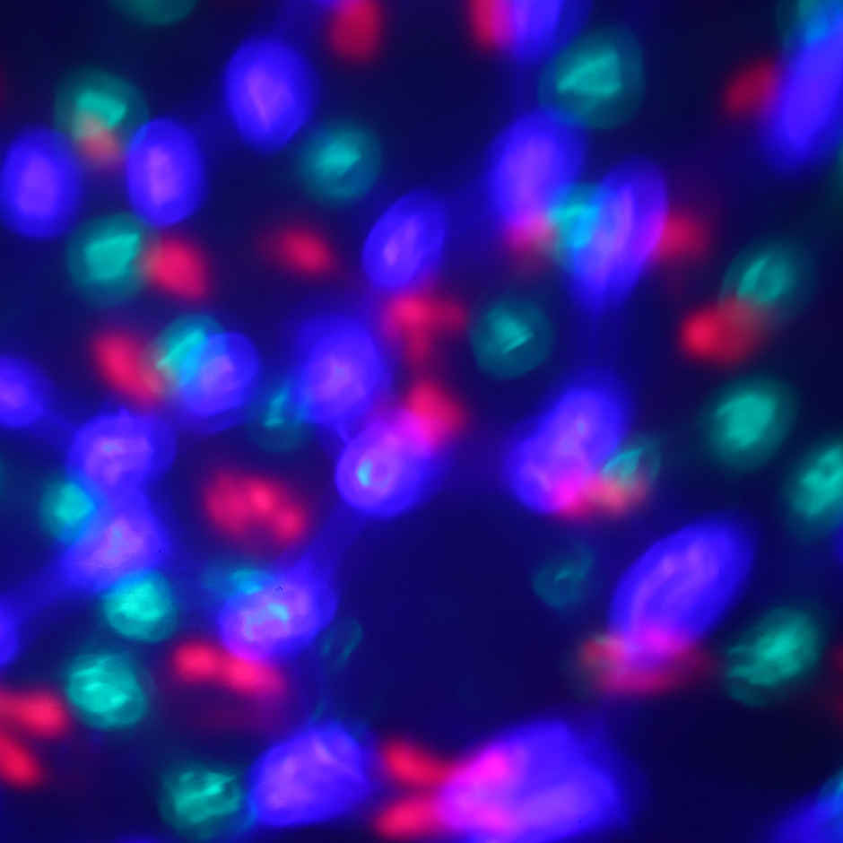 LED Focus Bulb - Energy Efficient