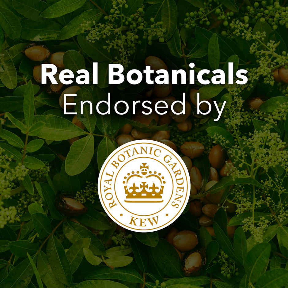 Herbal Essences Argan Oil of Morocco Conditioner For Hair Repair and No Frizz