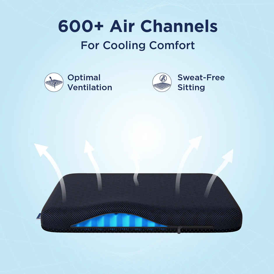 The Sleep Company Back Pain Relief Orthopedic Seat Cushion By TSC