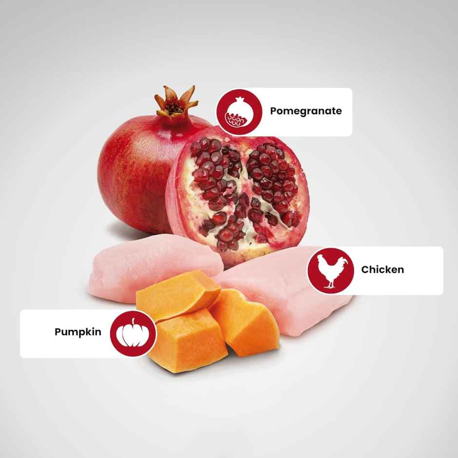 Farmina N&D Grain Free Pumpkin Chicken And Pomegranate Adult Medium & Maxi Dog Food