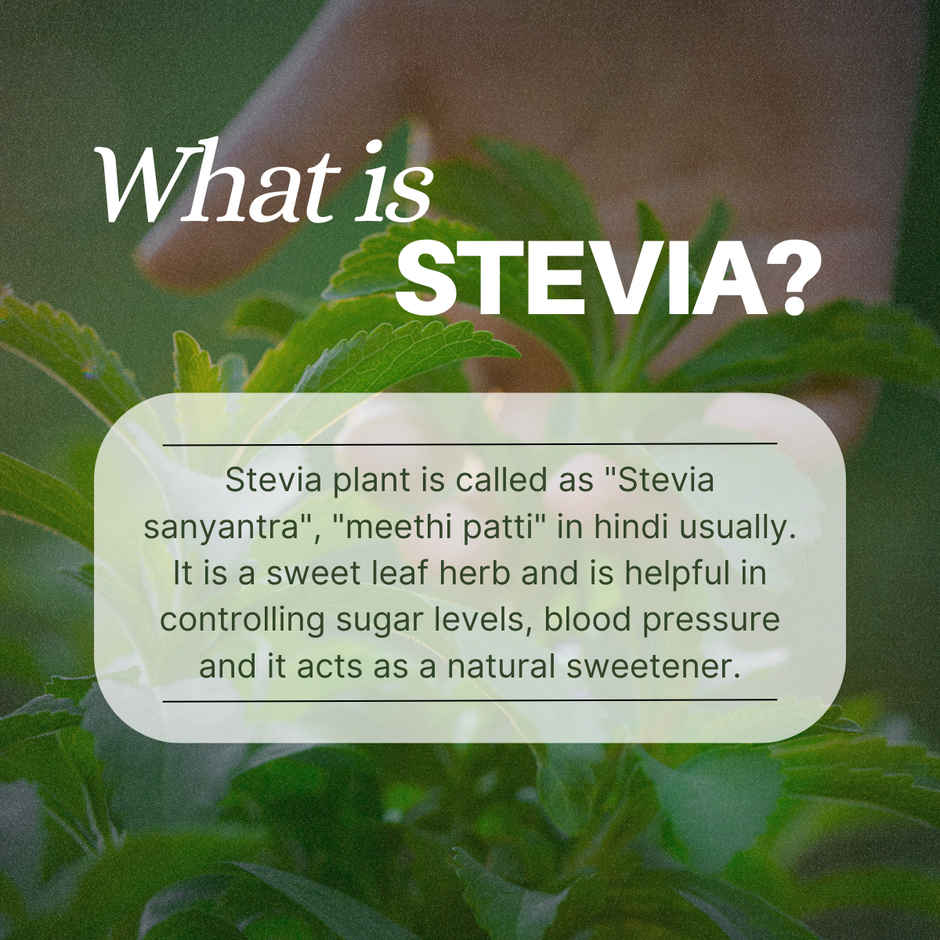 Pure Nutrition Stevaya Stevia Sweetener powder| Sugar Free, Zero Calorie
