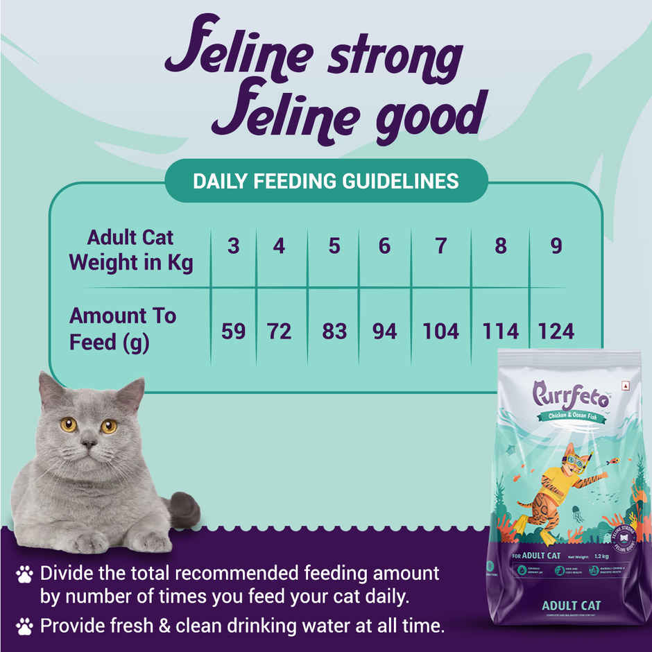 Purrfeto Dry Cat Food Chicken & Ocean Fish | Adult