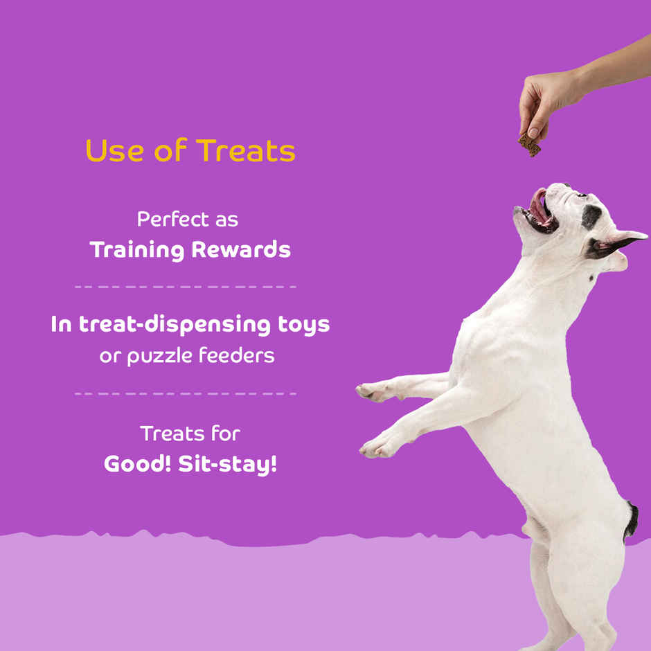 Applod 100% Real Chicken Dog Biscuit | For Puppy & Adult Dogs | Best Training Dog Treat