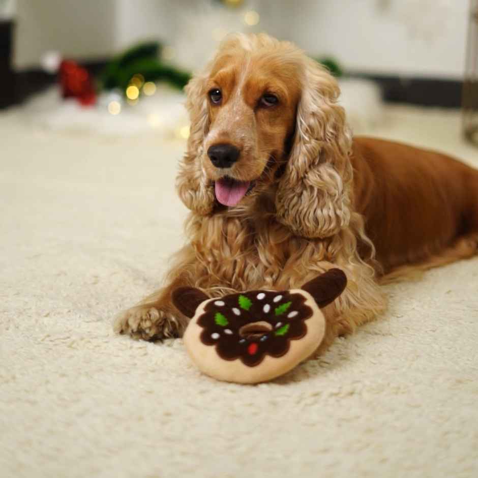 Bearhugs Plush Toy For Dogs | Reindeer Donut