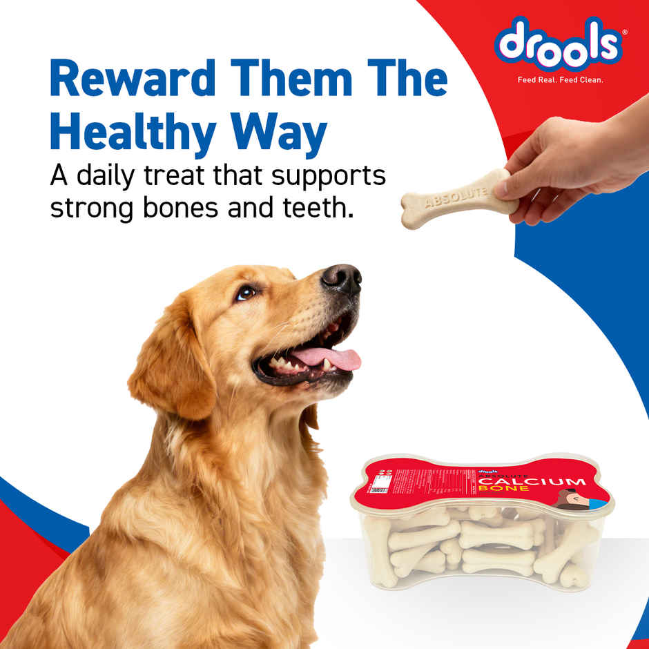 Drools Absolute Calcium Bone Jar, Dog Supplement - 40 pieces (600g)