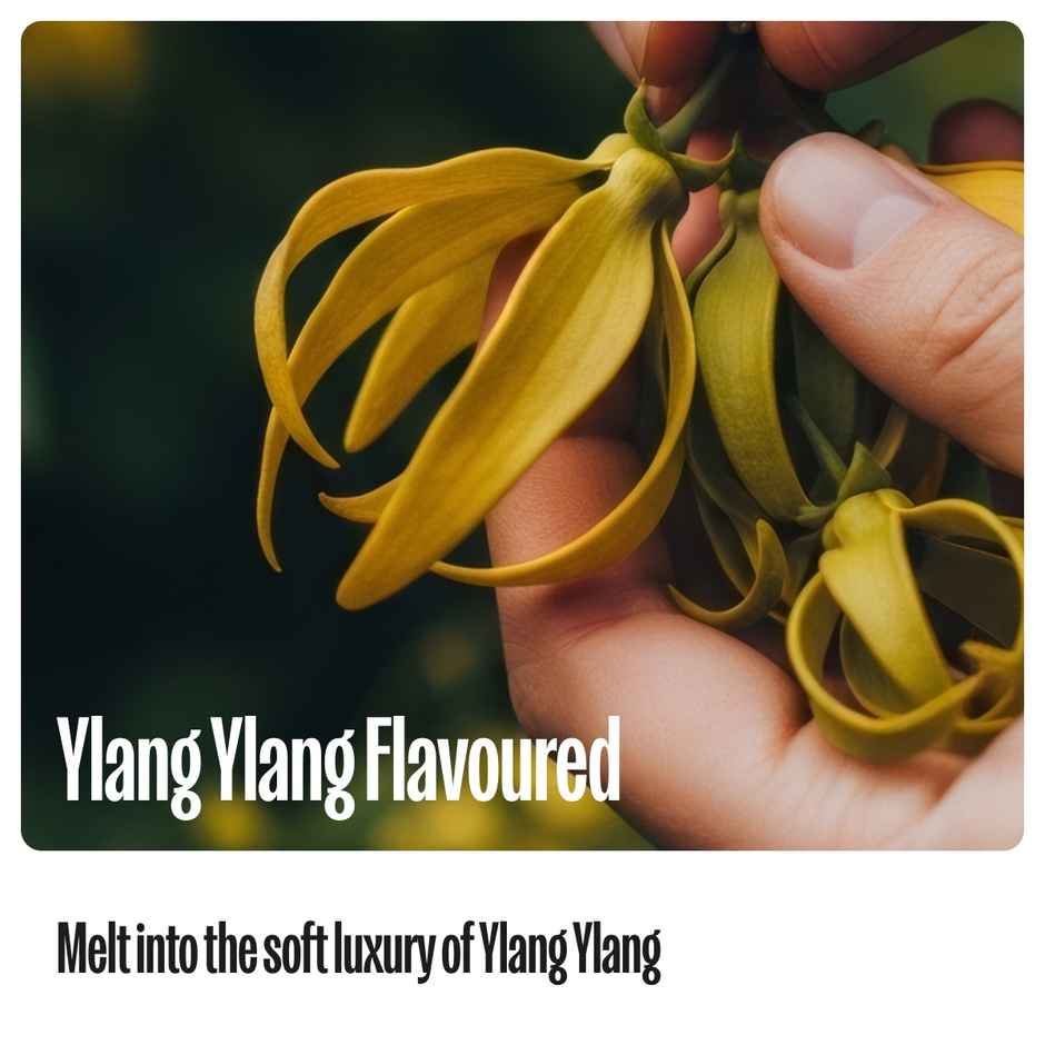 Bold Care Vibe Ylang Ylang Water-Based Lubricant