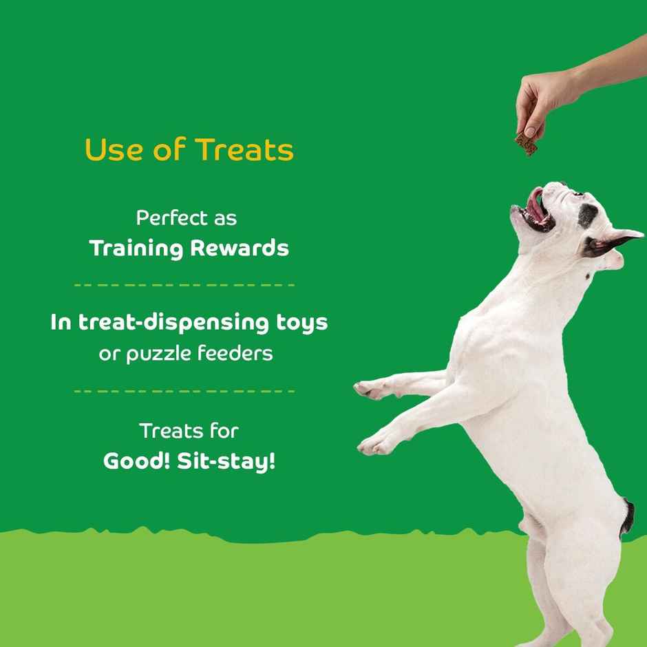 Applod Pumpkin Dog Biscuit With Turmeric