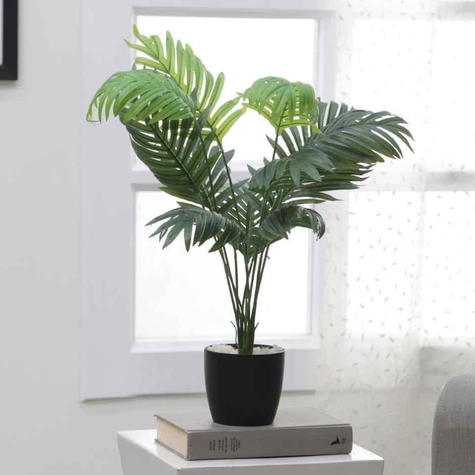 Casacraft by Pepperfry Polyester Areca Palm Artificial Plant With Pot by Arick Decor
