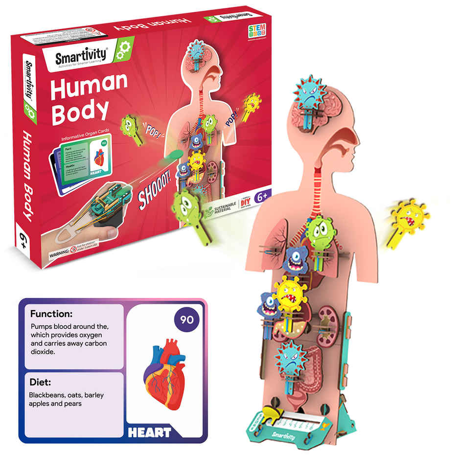 Smartivity DIY Human Body Model with Organ Card Games, Fun & Educational Toy