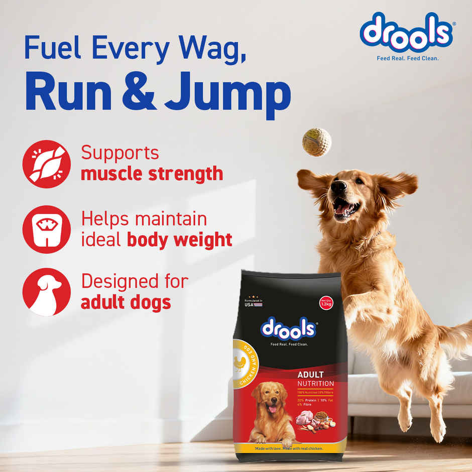 Drools Chicken and Egg Adult Dog Food, 3kg with Free 1.2kg 4.2Kg
