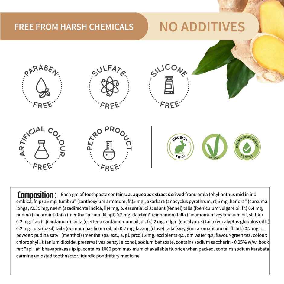 Aimil Ayouthveda Total Care 360 Toothpaste