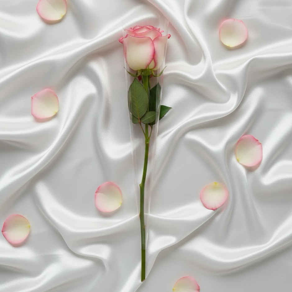 Single Pink Rose