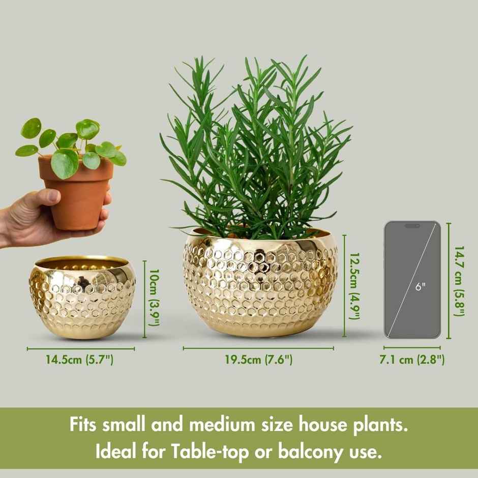 Behoma Metal Honeycomb Design Planter - Gold | Set of 2 | 4.9 Inch & 3.9 Inch