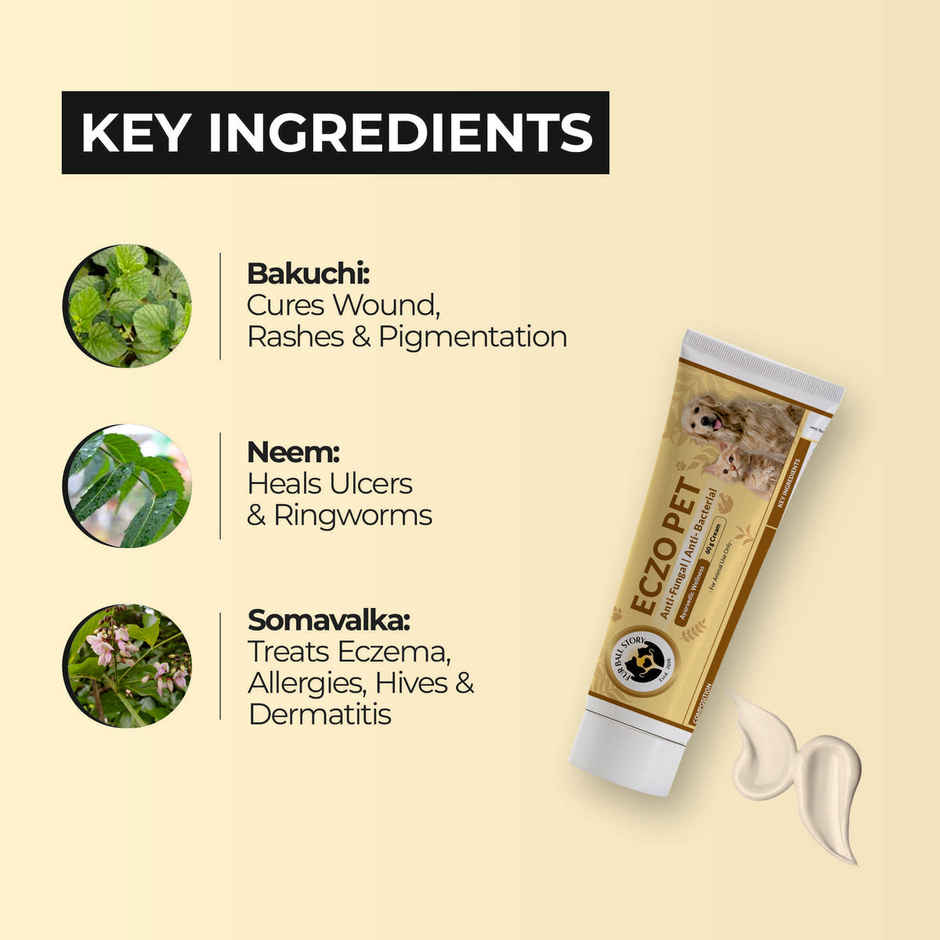 Fur Ball Story Eczo Pet Cream, Treats Skin Infections In Dogs & Cats
