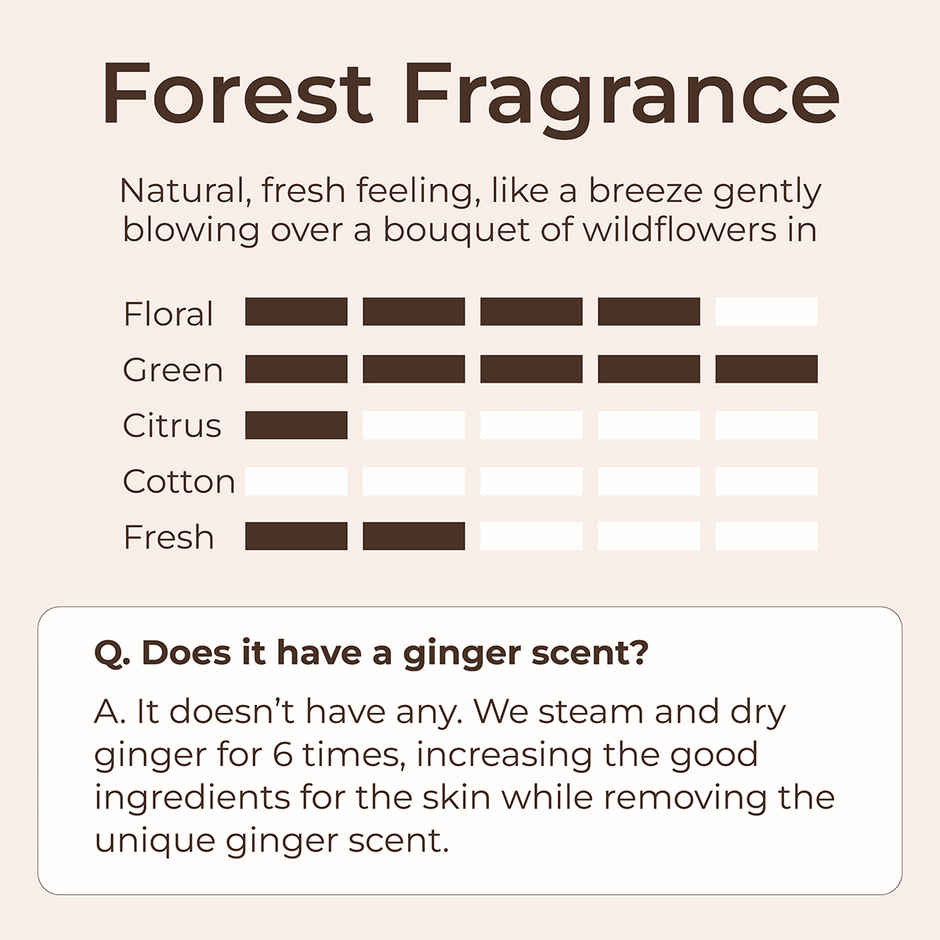 GINGER6 Hand Cream |Deep Moisture EWG Green Fermented Oil & Shea Butter | 8 Hyaluronic Acids