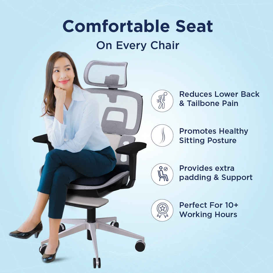 The Sleep Company Back Pain Relief Orthopedic Seat Cushion By TSC