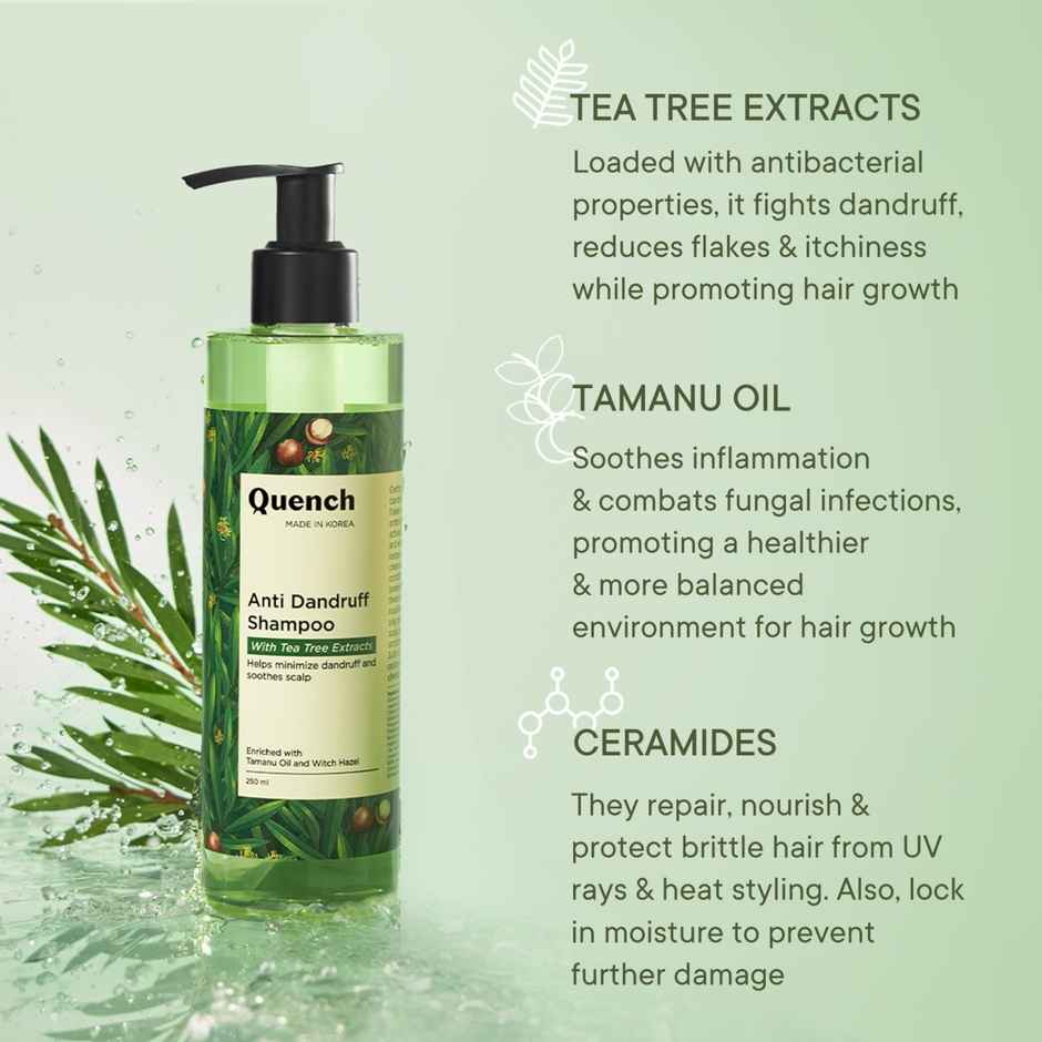 Quench Anti Dandruff Hair Shampoo With Tea Tree Extracts (Made In Korea)