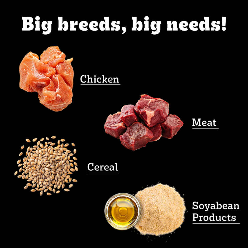 Pedigree PRO Adult Large Breed (18 Months+) Dog Food