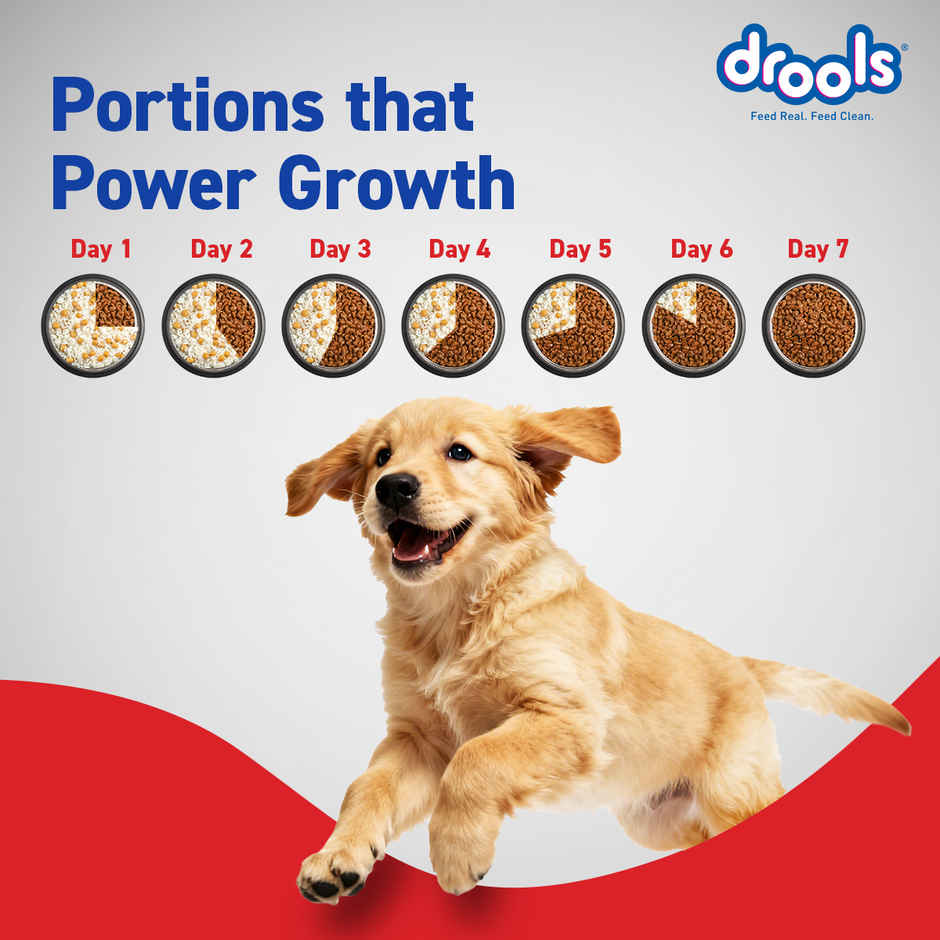 Drools Chicken and Egg Puppy Dry Dog Food Inside Container 5Kg