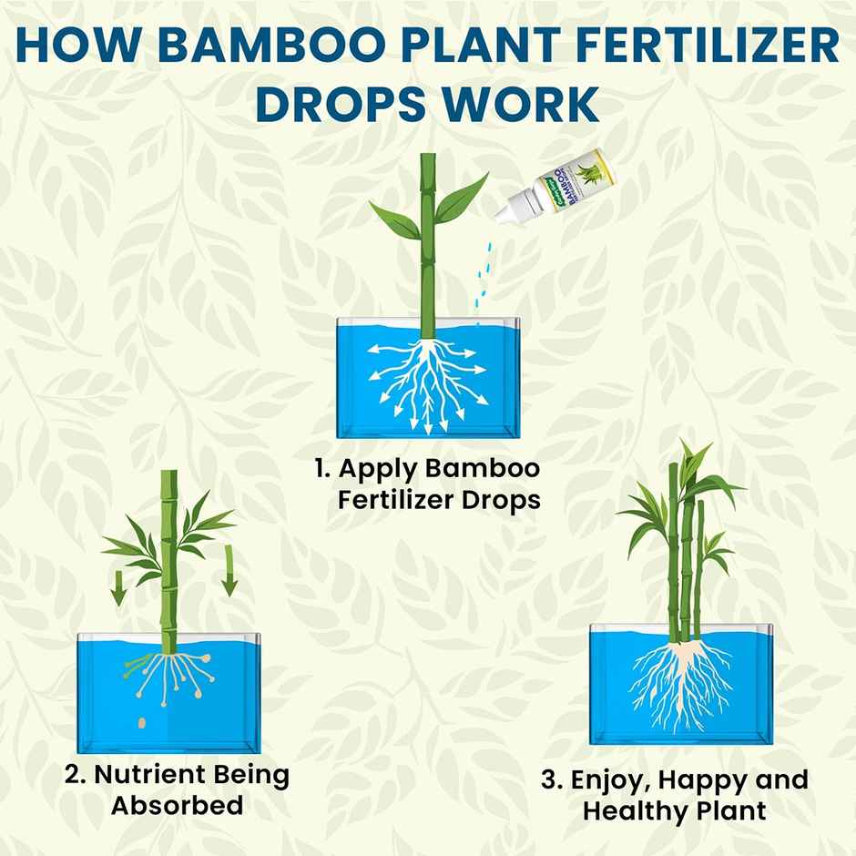 Bamboo Fertilizer Drops | For Lucky Bamboo, Lotus & Watering Plants- Money Plant etc