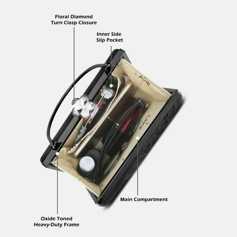 Lavie Women's Ivy Side Brooch Handle Frame Clutch | Small | Black (20 X 4 X 14 Cm)