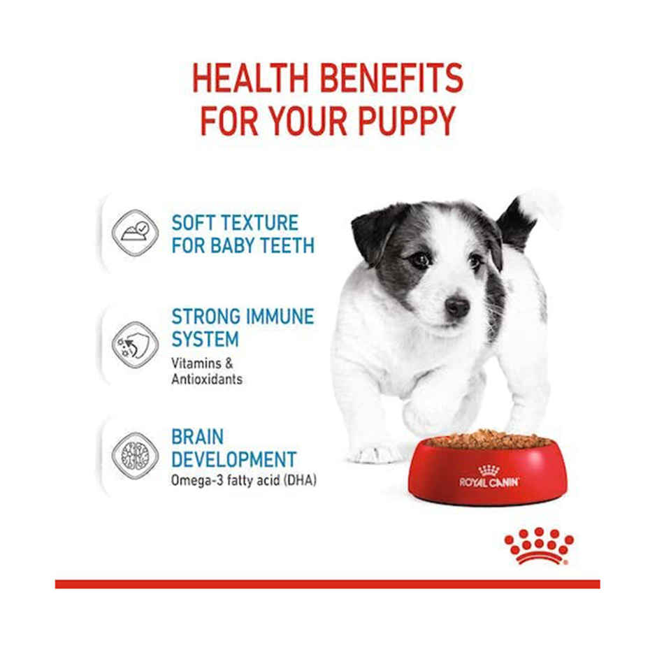 Royal Canin Mini Puppy Dog Wet Food