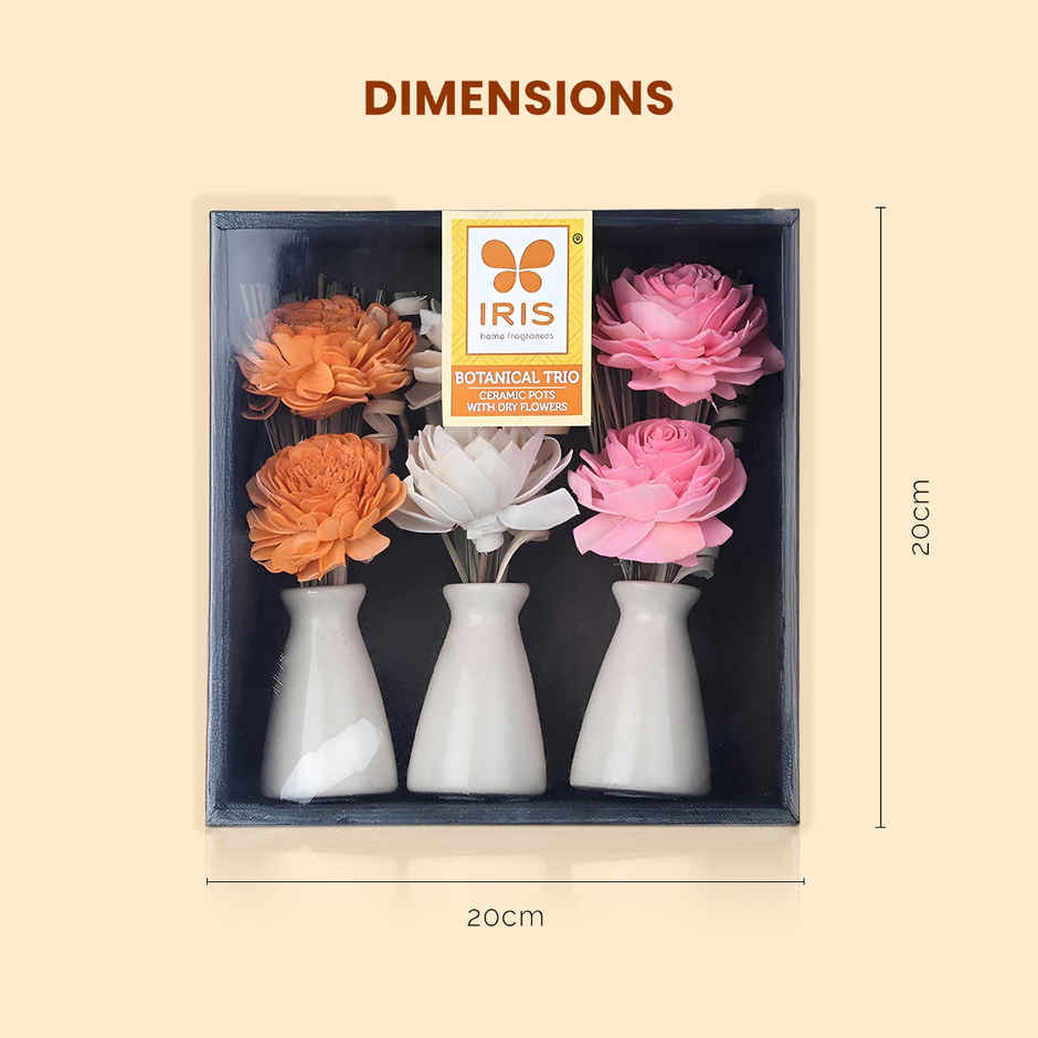 IRIS Botanical Trio Ceramic Vase With Dry Flowers Potpourri Decor