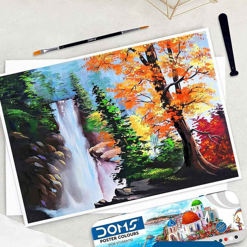 Doms Poster Colours | 12 Shades | For Students