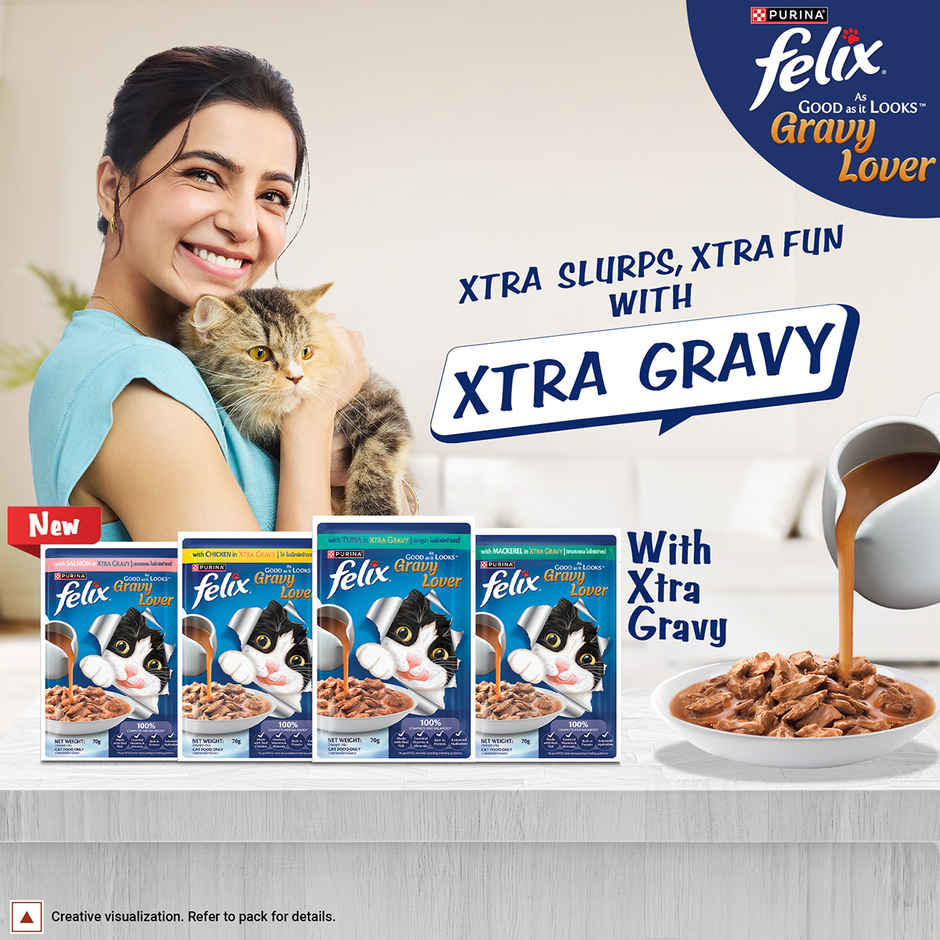 Purina Felix Gravy Lover, Meaty Salmon Chunks