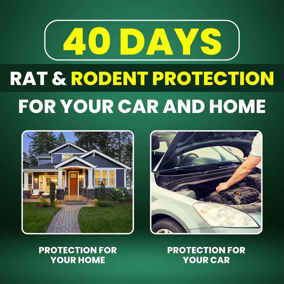 Repl Natural Oils Formula Rat Repellent Spray for Home and Cars | Safe for Kids and Pets