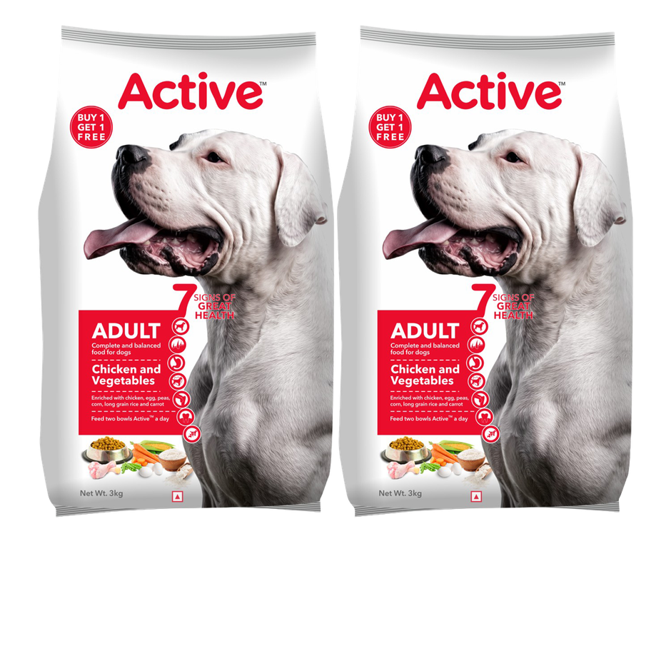 Active Adult Chicken And Vegetables Dry Dog Food