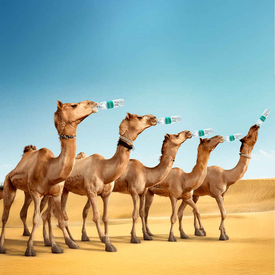 Bisleri Packaged Drinking Water Bottle