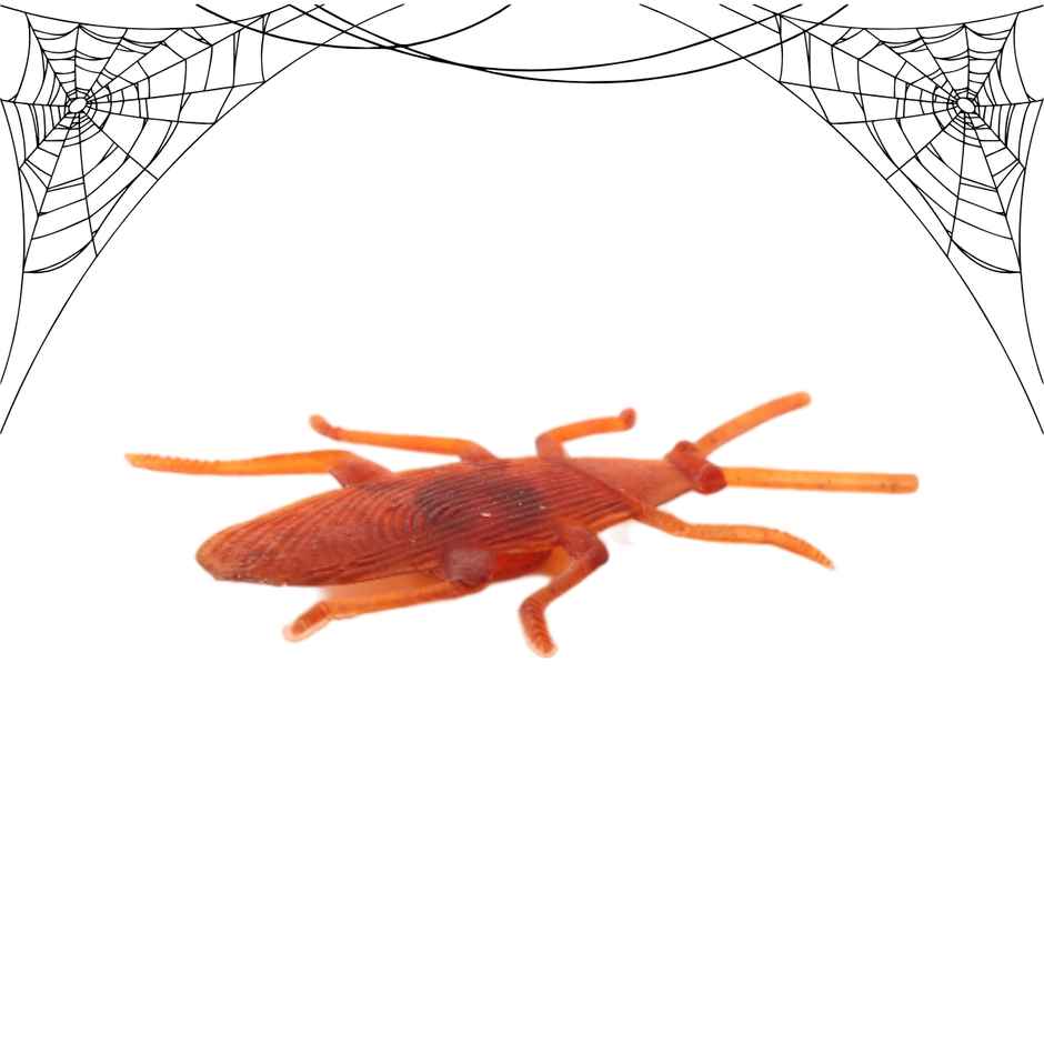 Fake Cockroach | Pack Of 10 | Halloween Special | Festvista