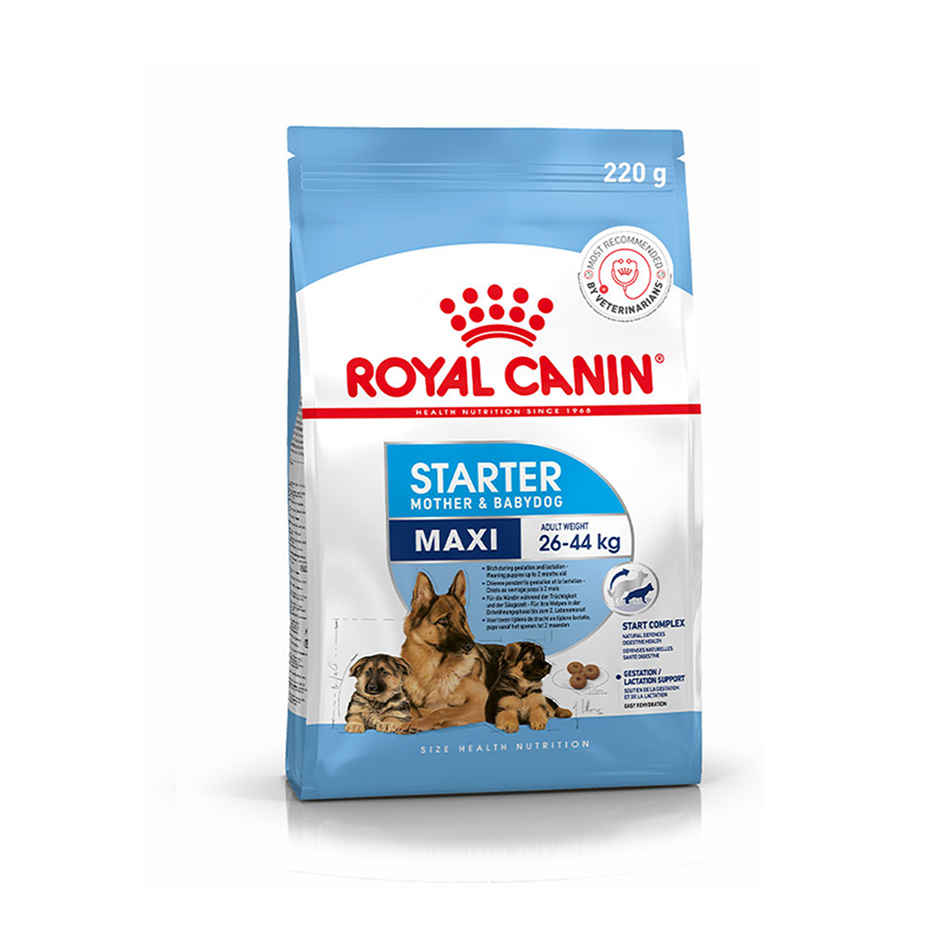 Royal Canin Maxi Starter Dry Food 220g