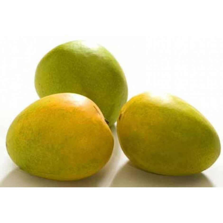 Mango Neelam