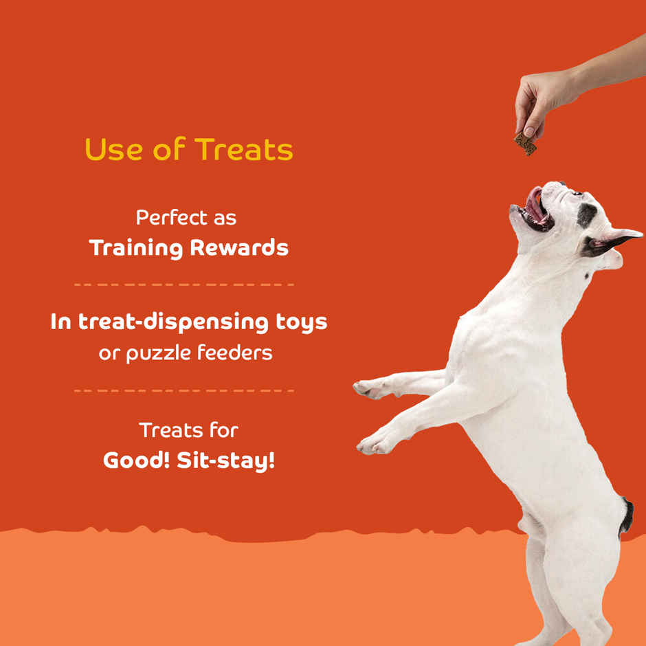 Applod Real Chicken Liver & Quinoa Dog Biscuit | For Puppy & Adult Dogs | Best Training Dog Treat