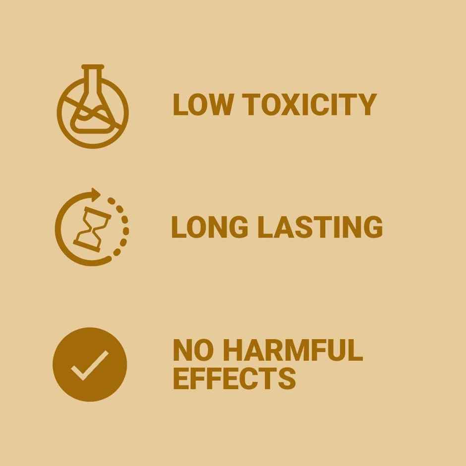 Air Roma Sandal Air Freshener Spray