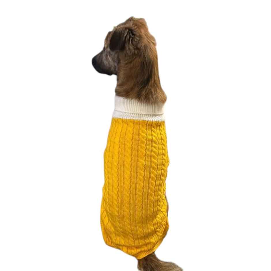 Bearhugs Yellow Highneck Sweater For Dogs L