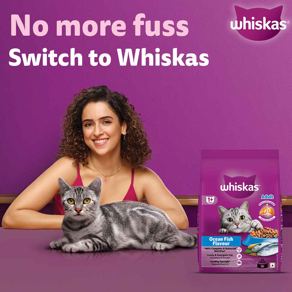 Whiskas Adult Ocean Fish Flavour Dry Cat Food