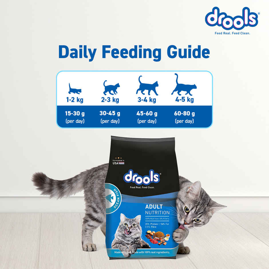 Drools Ocean Fish Adult  Dry Cat Food