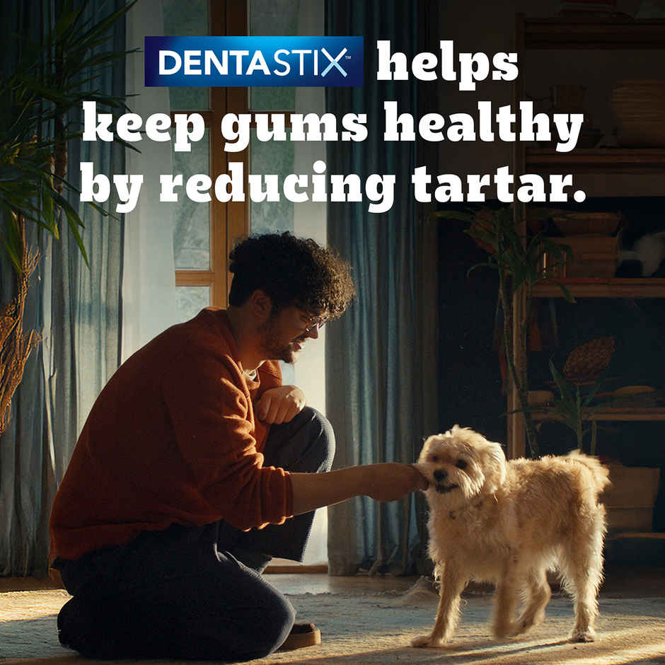 Pedigree Dentastix Adult Medium Breed (10-25 Kg) Oral Care Dog Treat