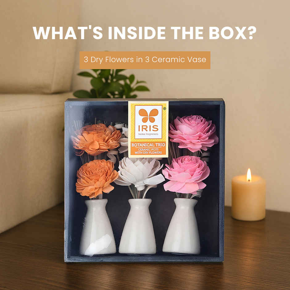 IRIS Botanical Trio Ceramic Vase With Dry Flowers Potpourri Decor