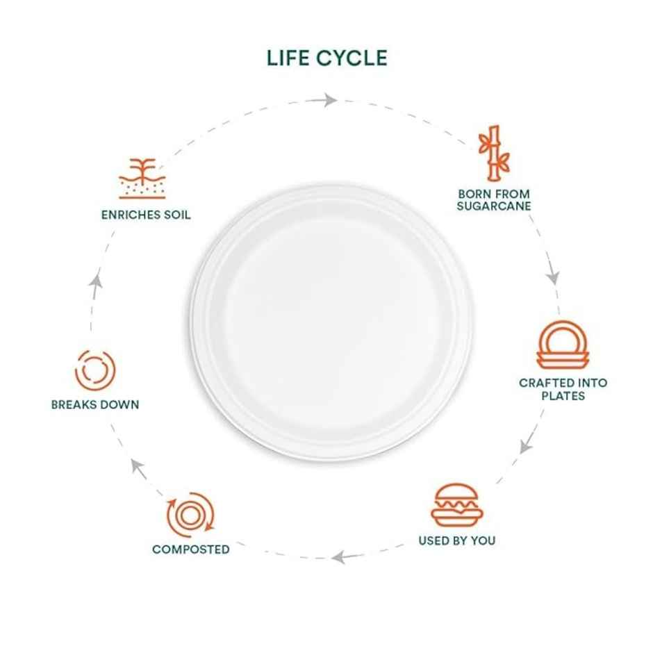 Round Disposable Flat Plate | 6 inch | Naturepac