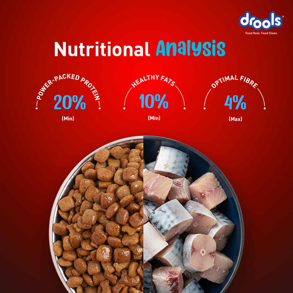 Drools Fish and Rice Adult Dry Dog Food 2.8 kg with Free 1 kg
