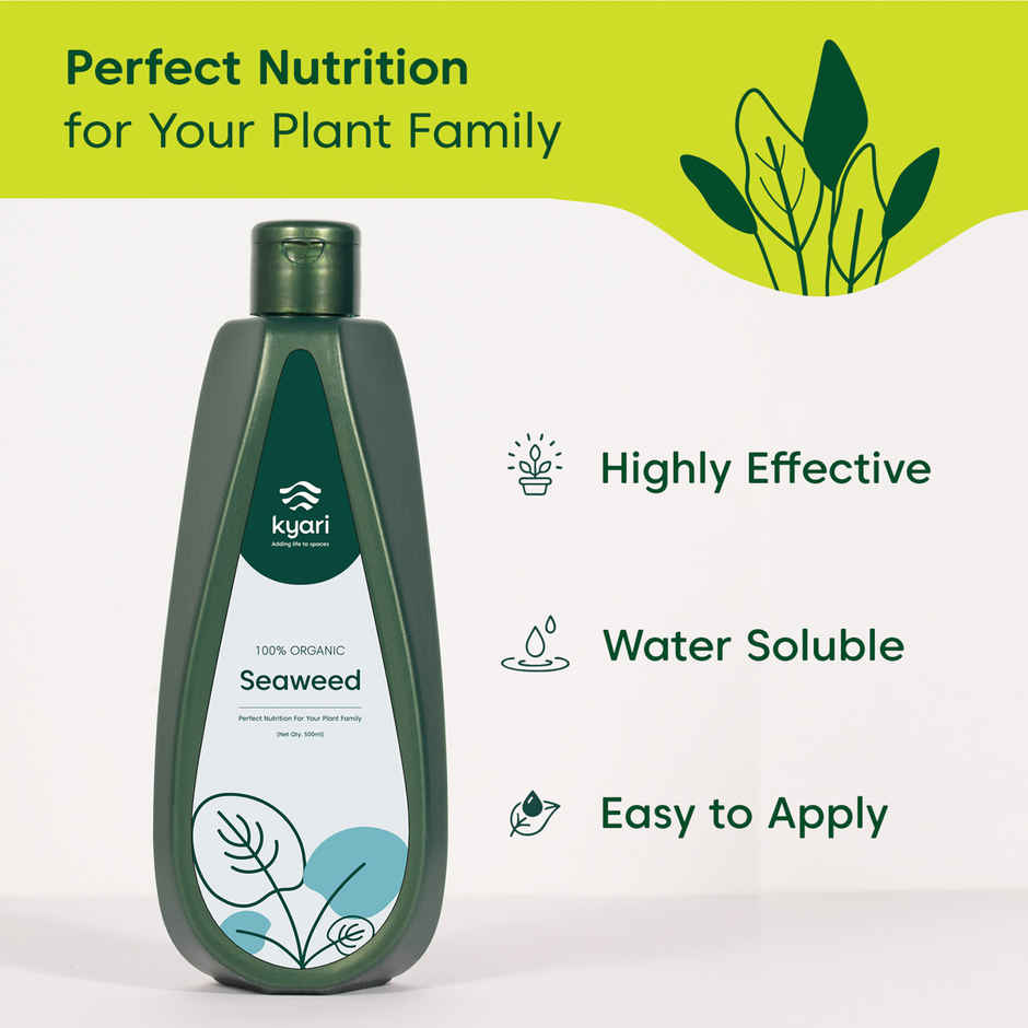 Kyari Seaweed Oil for Plants