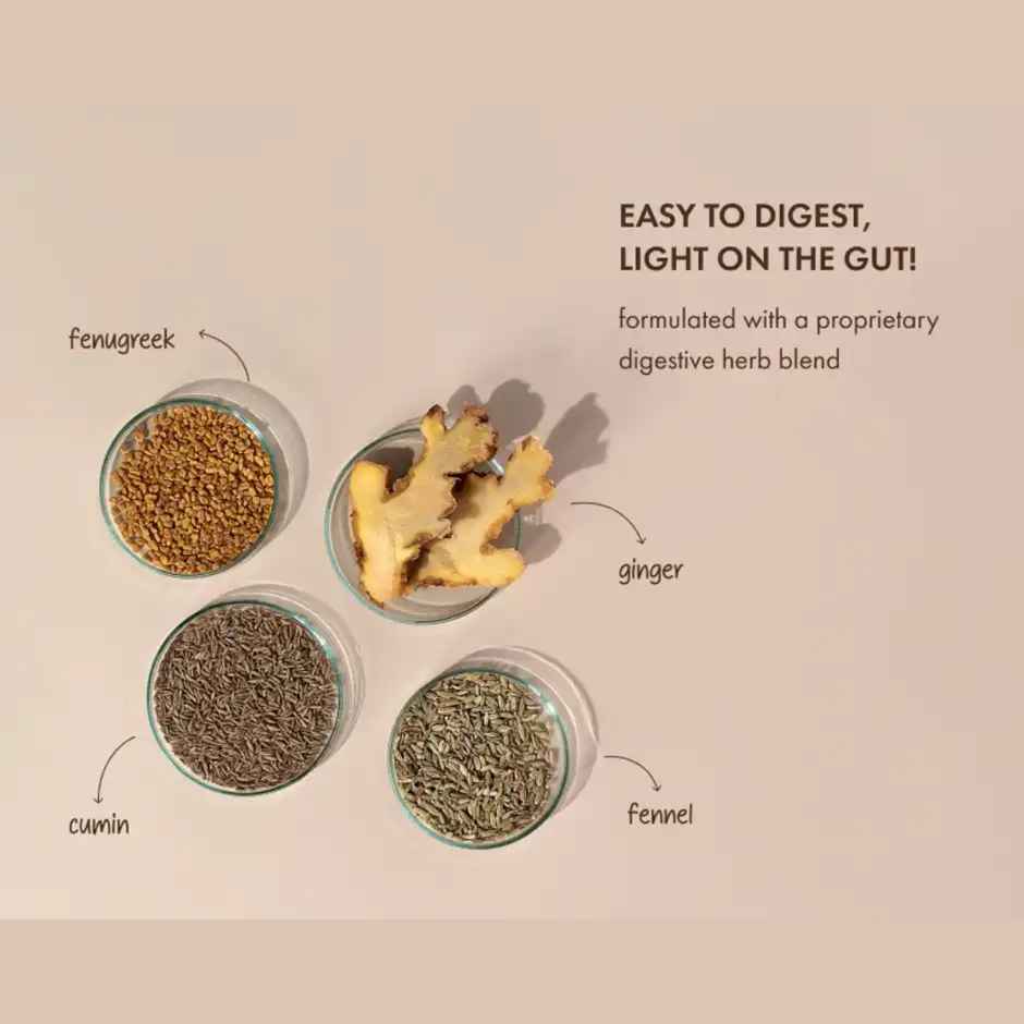 Cosmix No-Nonsense Plant Protein Chikmagalur Mocha, 24g Protein