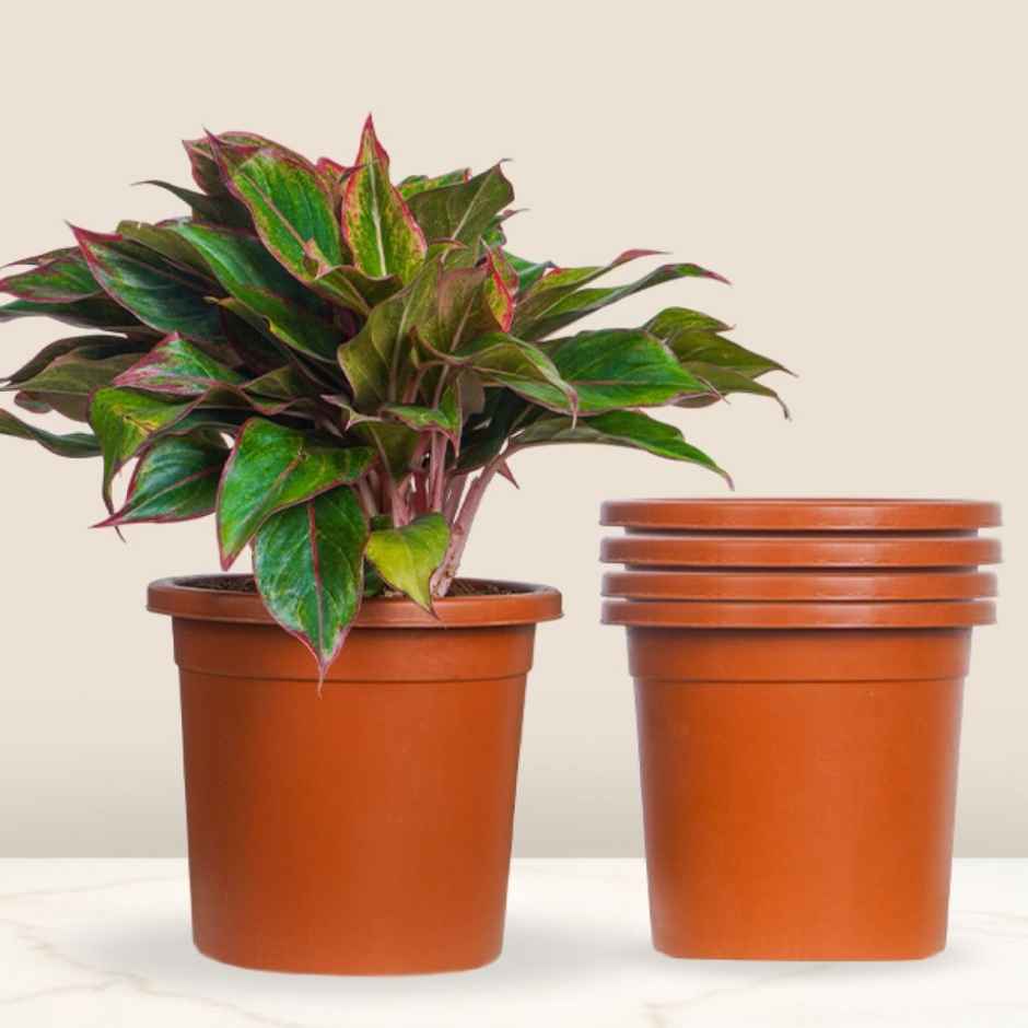Nurturing Green - Nursery Plastic Pots for Plants | Set of 5 | Terracotta | Size: 20cm x 19cm