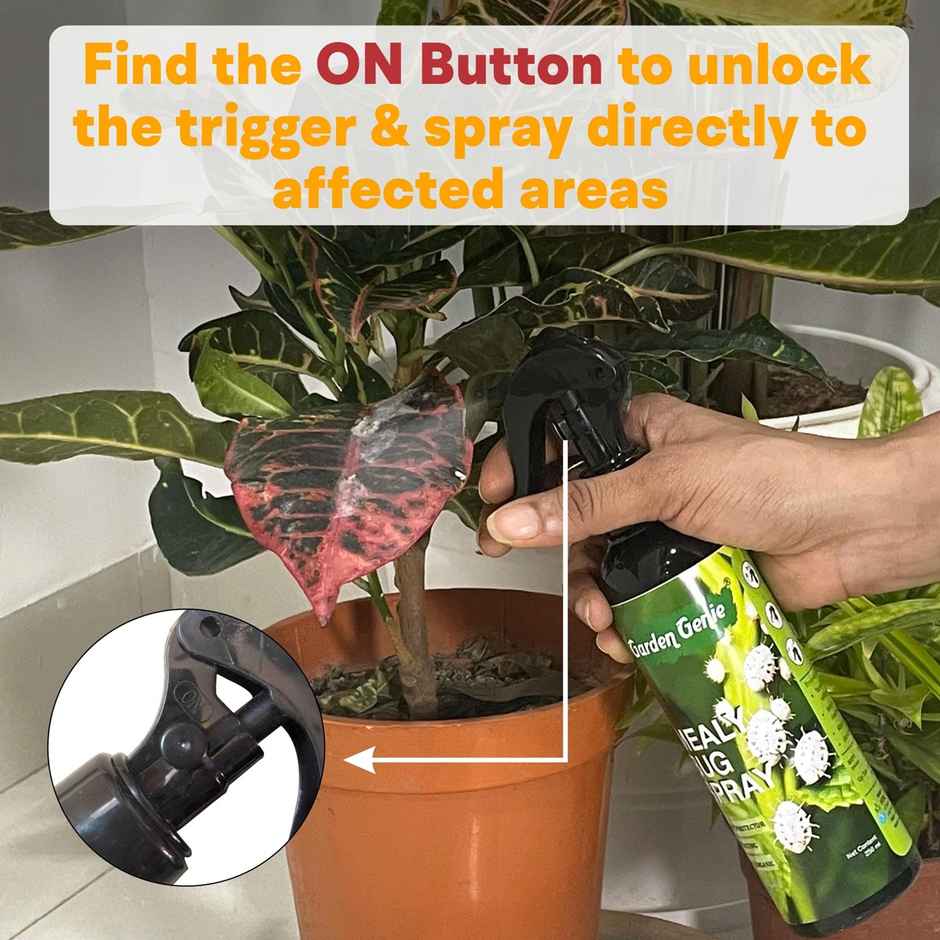 Garden Genie Mealy Bug Spray | Organic Pesticide Plant Spray for Mealy Bug on Plants
