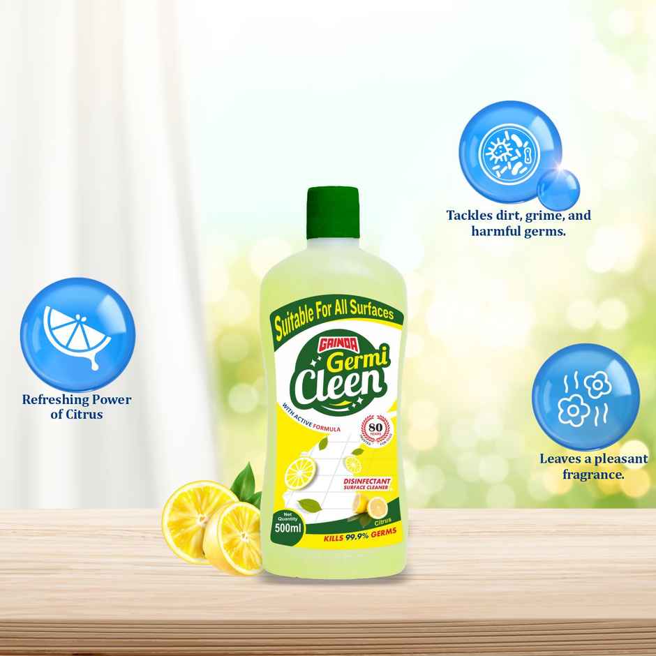Gainda Germicleen Citrus Disinfectant Surface Cleaner Liquid