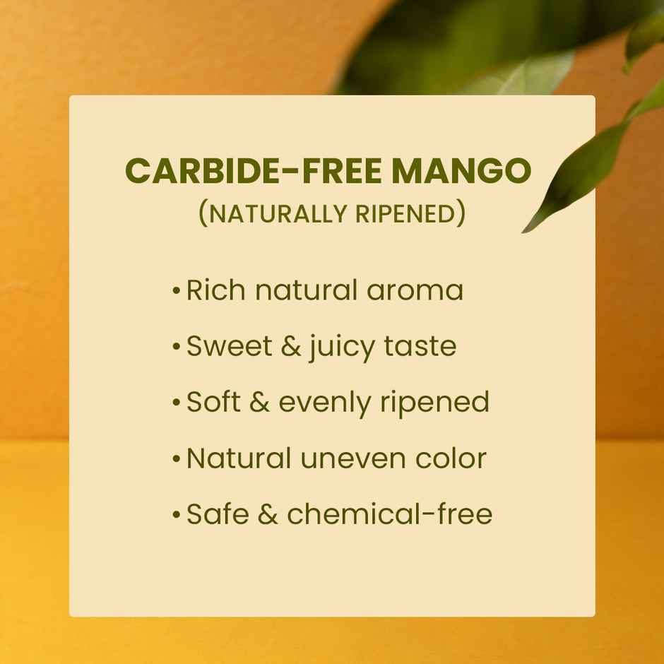 Mango Alphonso (Ratnagiri)